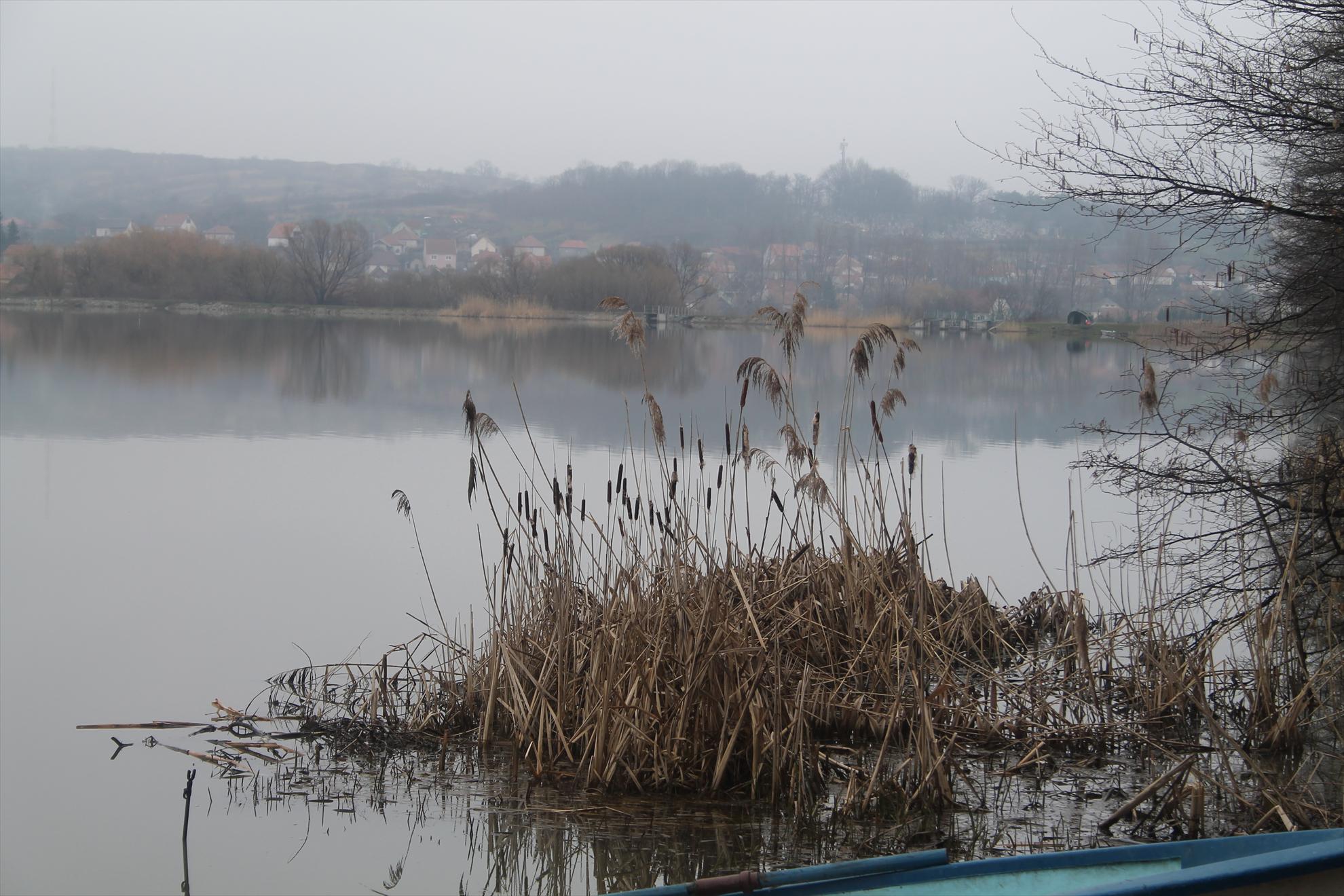 Peisaje... - harsany-aprilie2013-1001.JPG